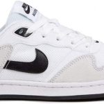 best nike skateboarding shoes
