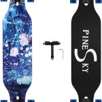 best electric skateboards